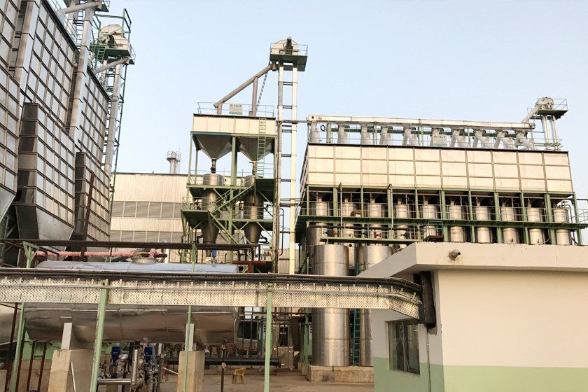 Mustard Oil Production